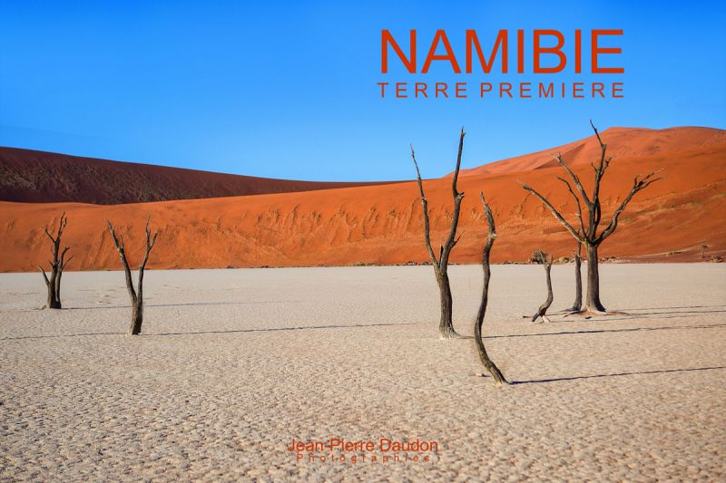 Couverture de Namibie Terre Première